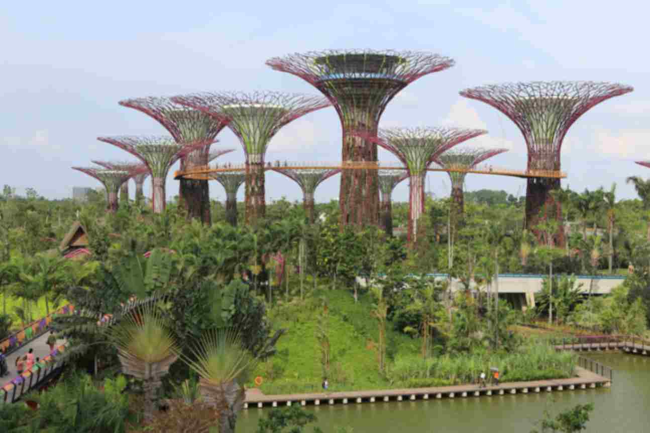Gardens by the Bay